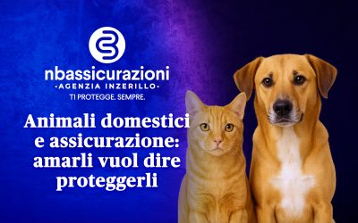 Animali domestici e assicurazione: amarli vuol dire proteggerli