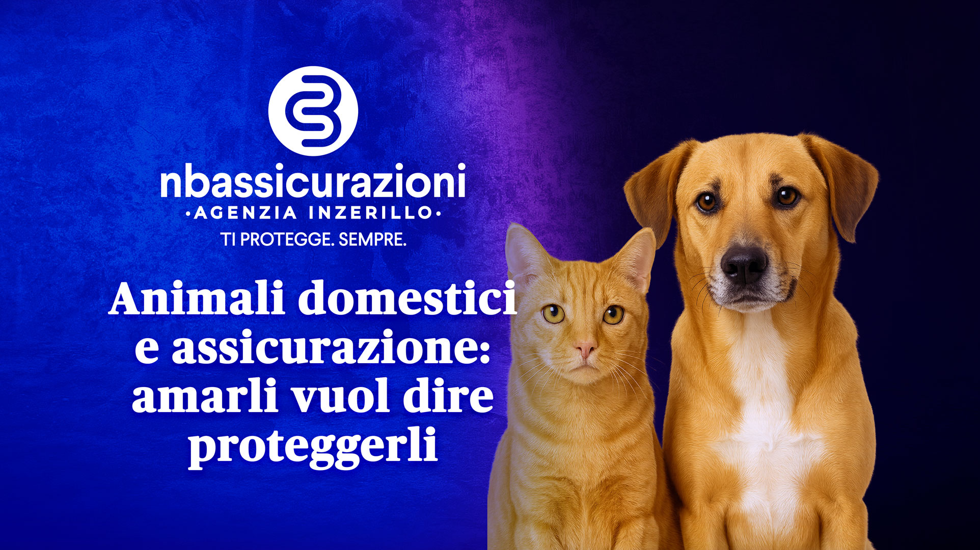 Animali domestici e assicurazione: amarli vuol dire proteggerli
