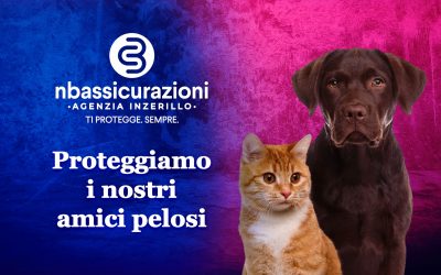 Come proteggere i nostri amici pelosi