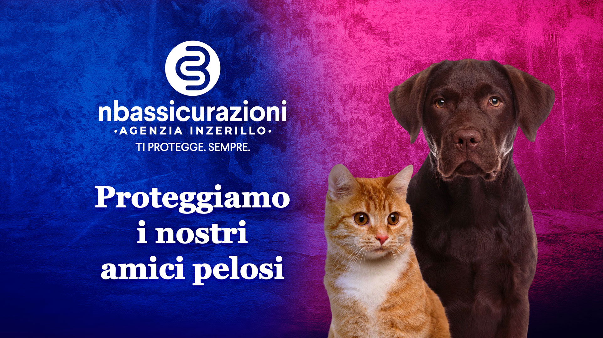 Come proteggere i nostri amici pelosi